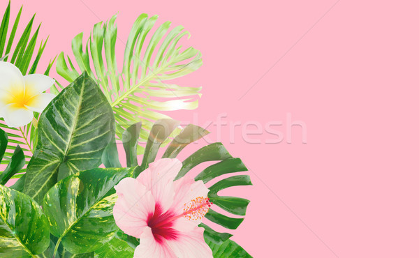 Tropicali foglie verdi fresche fiori rosa banner Foto d'archivio © neirfy