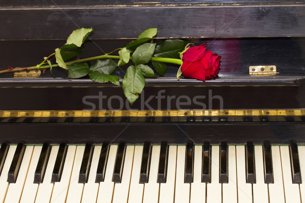 Сток-фото: один · красную · розу · фортепиано · Vintage · черный · цветок