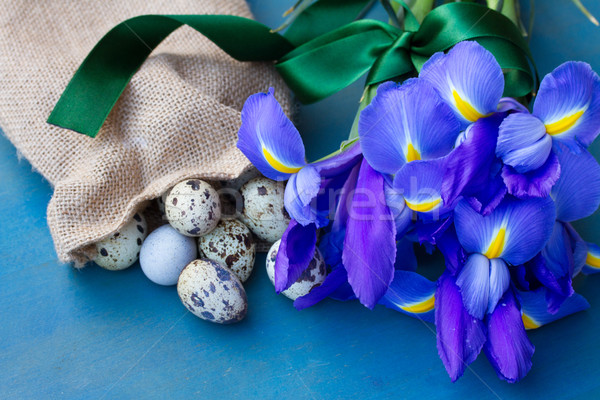 Stok fotoğraf: Yumurta · çiçekler · Paskalya · mavi · tablo · çiçek