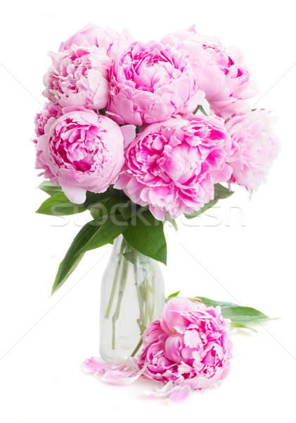 Foto stock: Rosa · flores · vaso · isolado · branco · flor