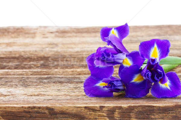 Voorjaar Blauw vers houten tafel grens geïsoleerd Stockfoto © neirfy