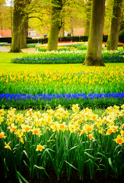 Formal spring garden Stock photo © neirfy