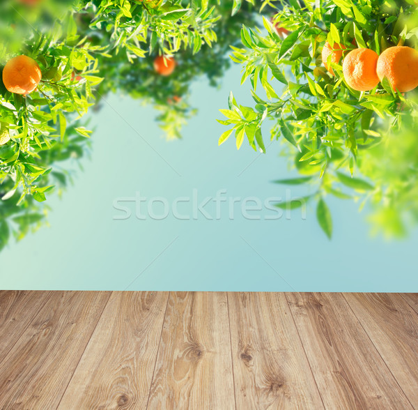 Orange tree garden Stock photo © neirfy