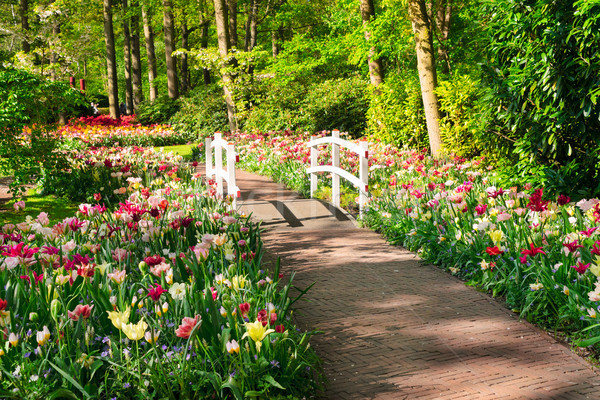 Foto stock: Pedra · andar · maneira · jardim · primavera · formal