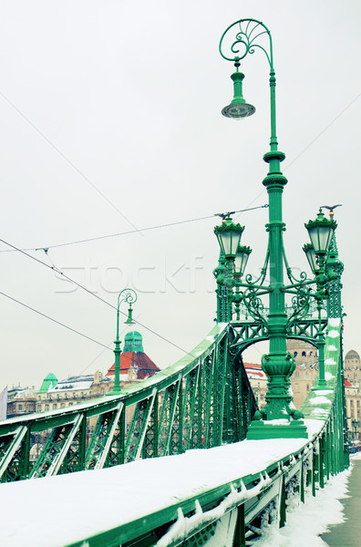 Bridge of Liberty, Budapest Stock photo © neirfy