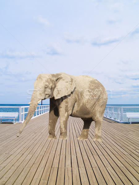 Edad muelle elefante mar viaje cielo Foto stock © neirfy