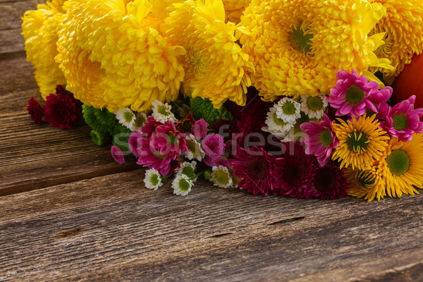 Bunch of mum flowers Stock photo © neirfy