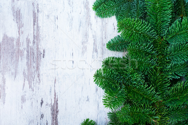 Crăciun proaspăt peren copac alb Imagine de stoc © neirfy