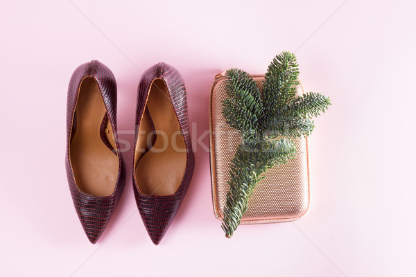 Hight heel shoes for Christmas party Stock photo © neirfy