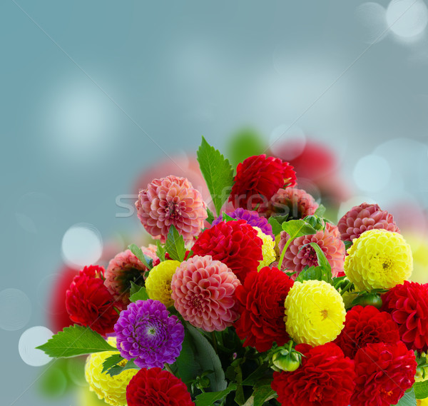 Stockfoto: Dahlia · bloemen · boeket · vers · gemengd · hemel