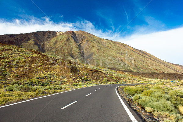 Dolinie wulkan Hiszpania drogowego streszczenie Zdjęcia stock © neirfy