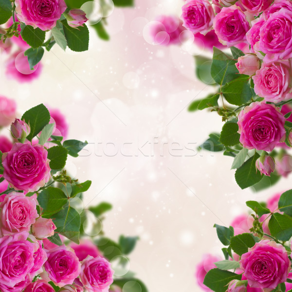 Keret rózsaszín rózsák közelkép bokeh húsvét Stock fotó © neirfy