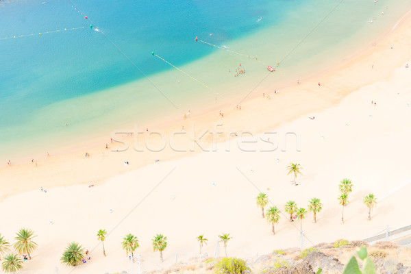 Las Teresitas beach, Tenerife Stock photo © neirfy