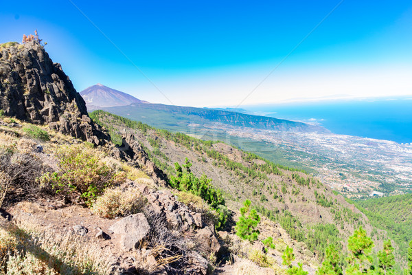 Tenerife insulă pin pădure parc cer Imagine de stoc © neirfy