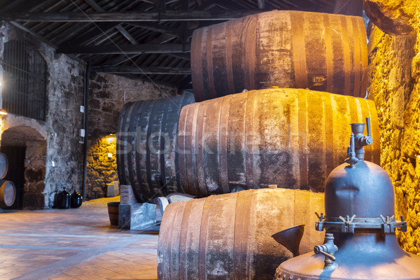 cellar with wine barrels Stock photo © neirfy