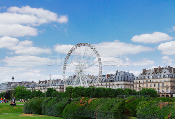 Tuileries garden, Paris Stock photo © neirfy