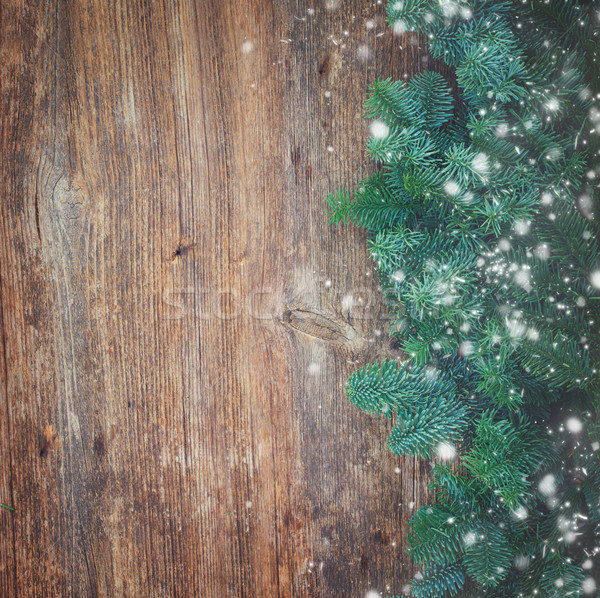 Foto d'archivio: Natale · fresche · evergreen · albero · rami · copia · spazio