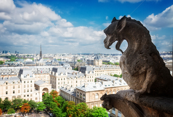 Párizs sárkány Notre Dame-katedrális templom városkép Franciaország Stock fotó © neirfy