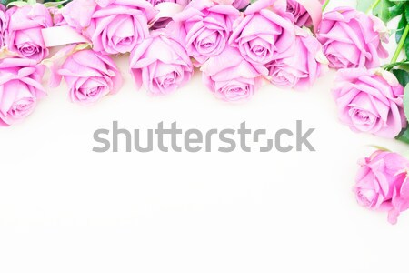 Valentines day violet roses Stock photo © neirfy