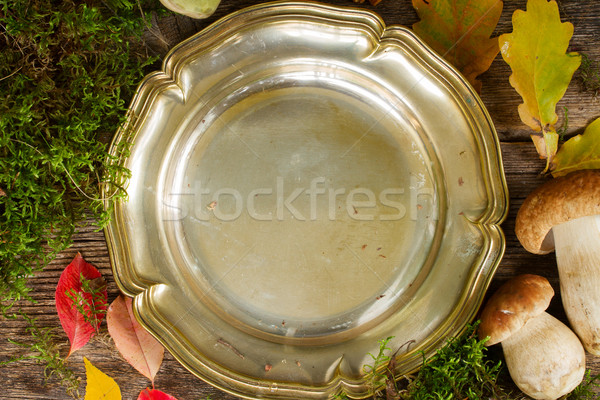 Boletos cogumelos vazio estanho prato quadro Foto stock © neirfy