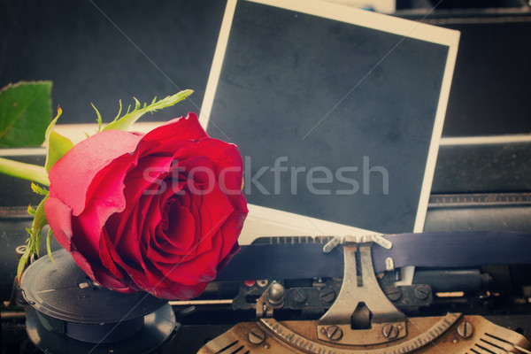 Rote Rose Schreibmaschine Jahrgang Retro Hintergrund Stock foto © neirfy