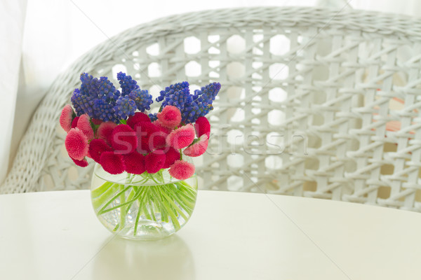 Muscari and Daisy Flowers Stock photo © neirfy