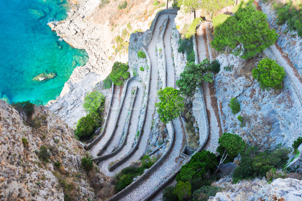 Capri island, Italy Stock photo © neirfy