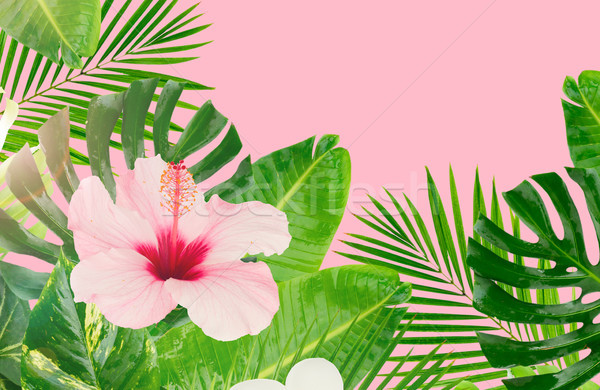 Tropicali foglie verdi fresche foglie fiori banner Foto d'archivio © neirfy