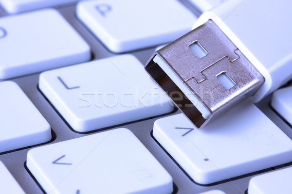Keyboard and usb devise Stock photo © neirfy