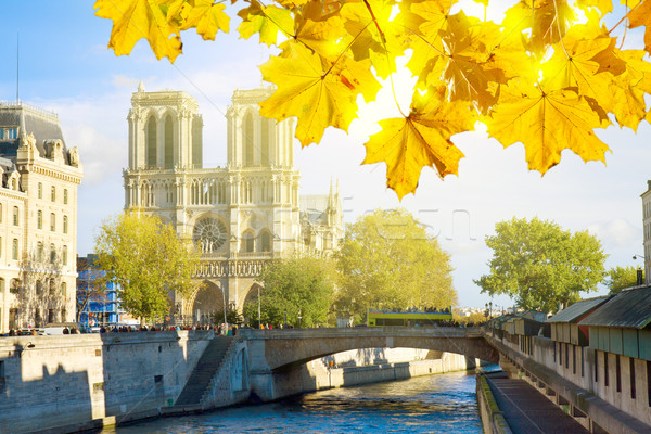 Notre Dame cathedral church, Paris, France Stock photo © neirfy