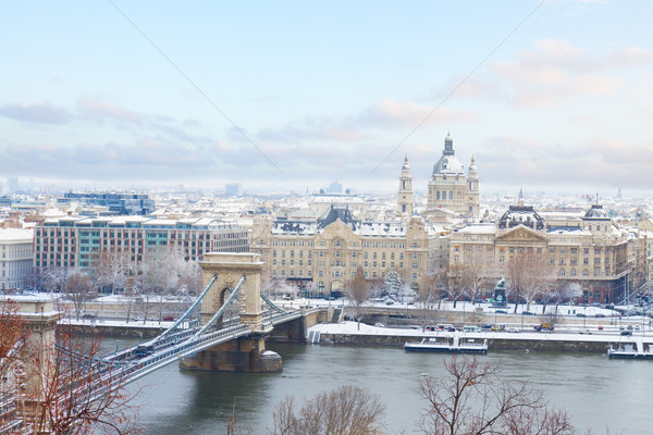 ciryscape of Budapest, Hungary Stock photo © neirfy