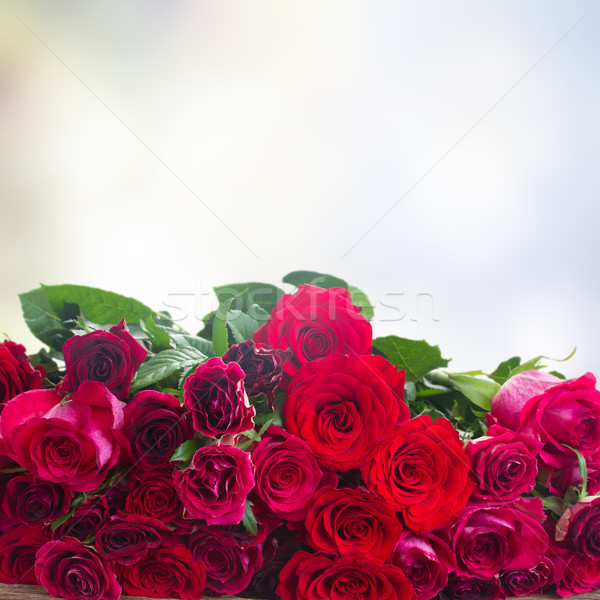 [[stock_photo]]: Frontière · roses · rouges · rouge · rose · roses · bois