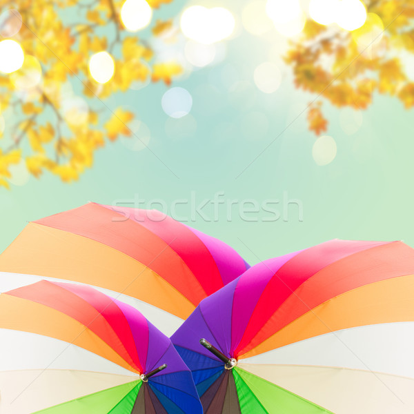 Ouvrir Rainbow parapluies ciel bleu automne laisse [[stock_photo]] © neirfy