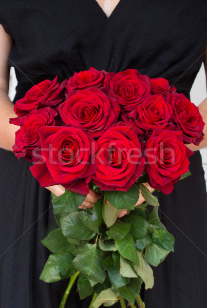 商业照片: 女子 · 红玫瑰 · 关闭 · 女孩 · 妇女