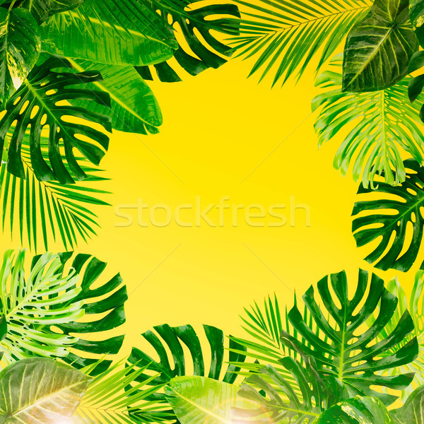 Tropical green leaves Stock photo © neirfy