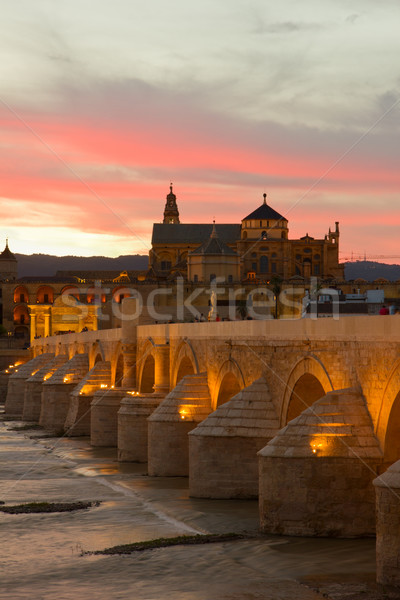 Cordoba at night, Spain Stock photo © neirfy