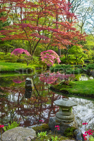 Japanese garden in spring Stock photo © neirfy