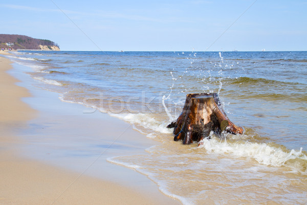 long white sand beach of Sopot Stock photo © neirfy