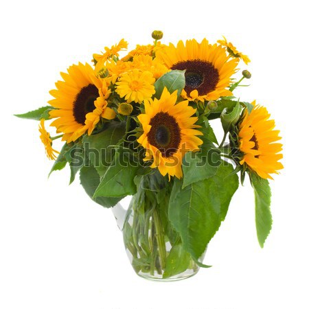 商业照片: 向日葵 · 花束 · 孤立 ·白· 太阳 · 绿色