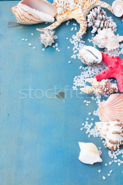 border os sea salt and shells Stock photo © neirfy