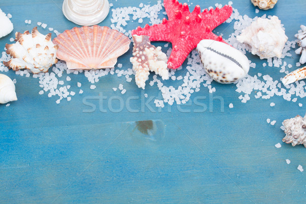 border os sea star and shells Stock photo © neirfy
