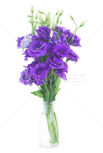 Ramo · violeta · flores · aislado · blanco · flor - foto stock © neirfy  (#4709698) | Stockfresh