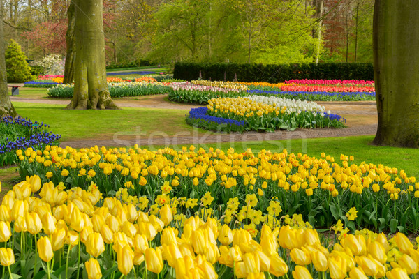 Formal spring garden Stock photo © neirfy