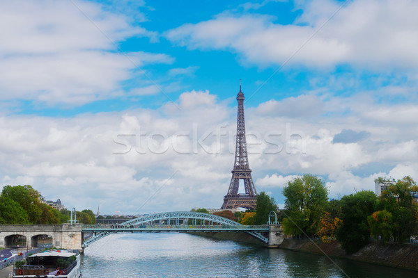 eiffel tour over Seine river Stock photo © neirfy