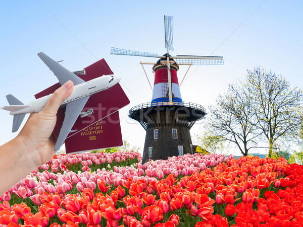 Plane travel concept Stock photo © neirfy