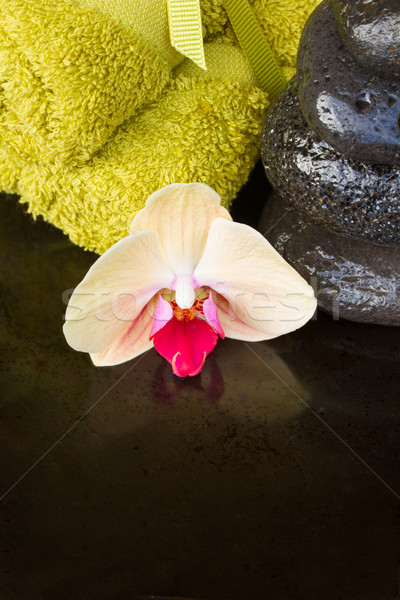 Orchidee spa-behandeling massage stenen handdoeken zwarte Stockfoto © neirfy