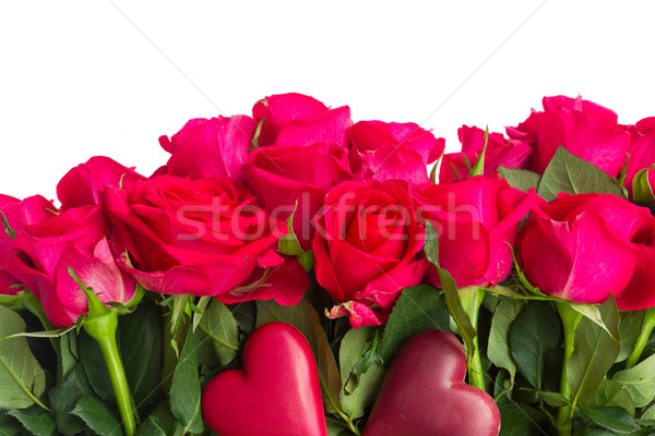 Foto stock: Dos · rosas · rojas · oscuro · rosa · rosas