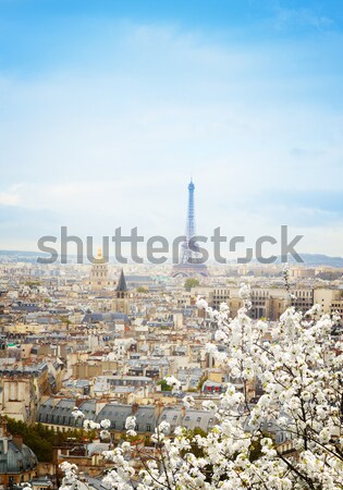 Foto stock: Linha · do · horizonte · Paris · Torre · Eiffel · cidade · telhados · acima