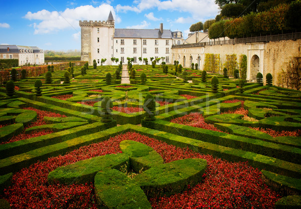 Villandry  castle, France Stock photo © neirfy