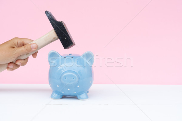 Piggy bank, savings concept Stock photo © neirfy